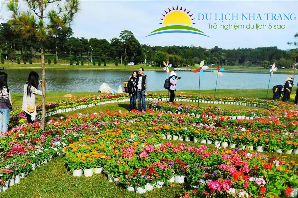 Tour Nha Trang - Đà lạt 1 ngày