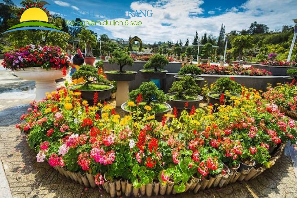 Tour Nha Trang - Đà lạt 1 ngày