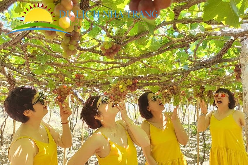 Tour đảo Bình Hưng 2 ngày 1 đêm[Trọn Gói - Chất Lượng]