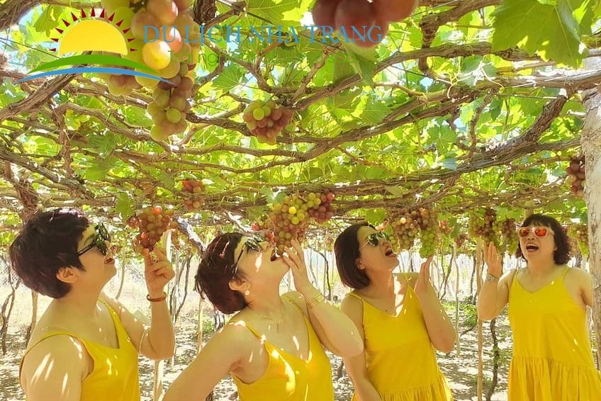 Tour Du lịch Nha Trang 4 ngày 3 đêm[Uy Tín - Chất Lượng]