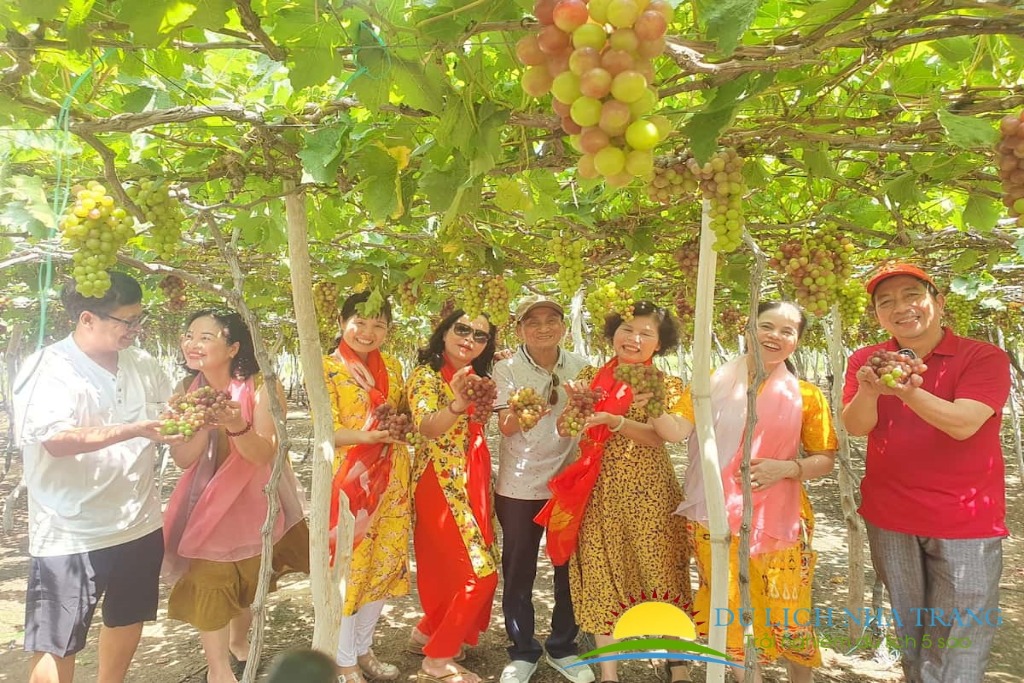 Tour du lịch Nha Trang - Ninh Thuận 2 ngày 1 đêm [Trọn gói]