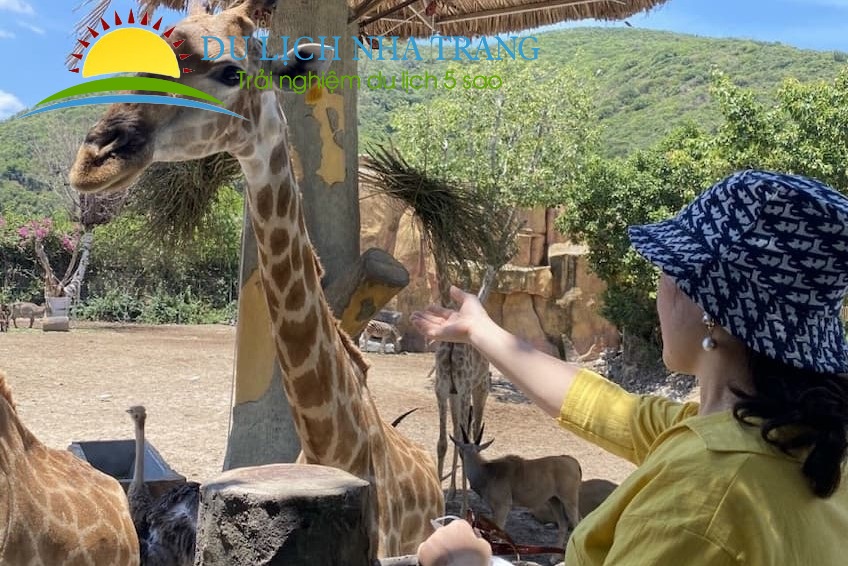 Tour Vinpearl Nha Trang 1 ngày