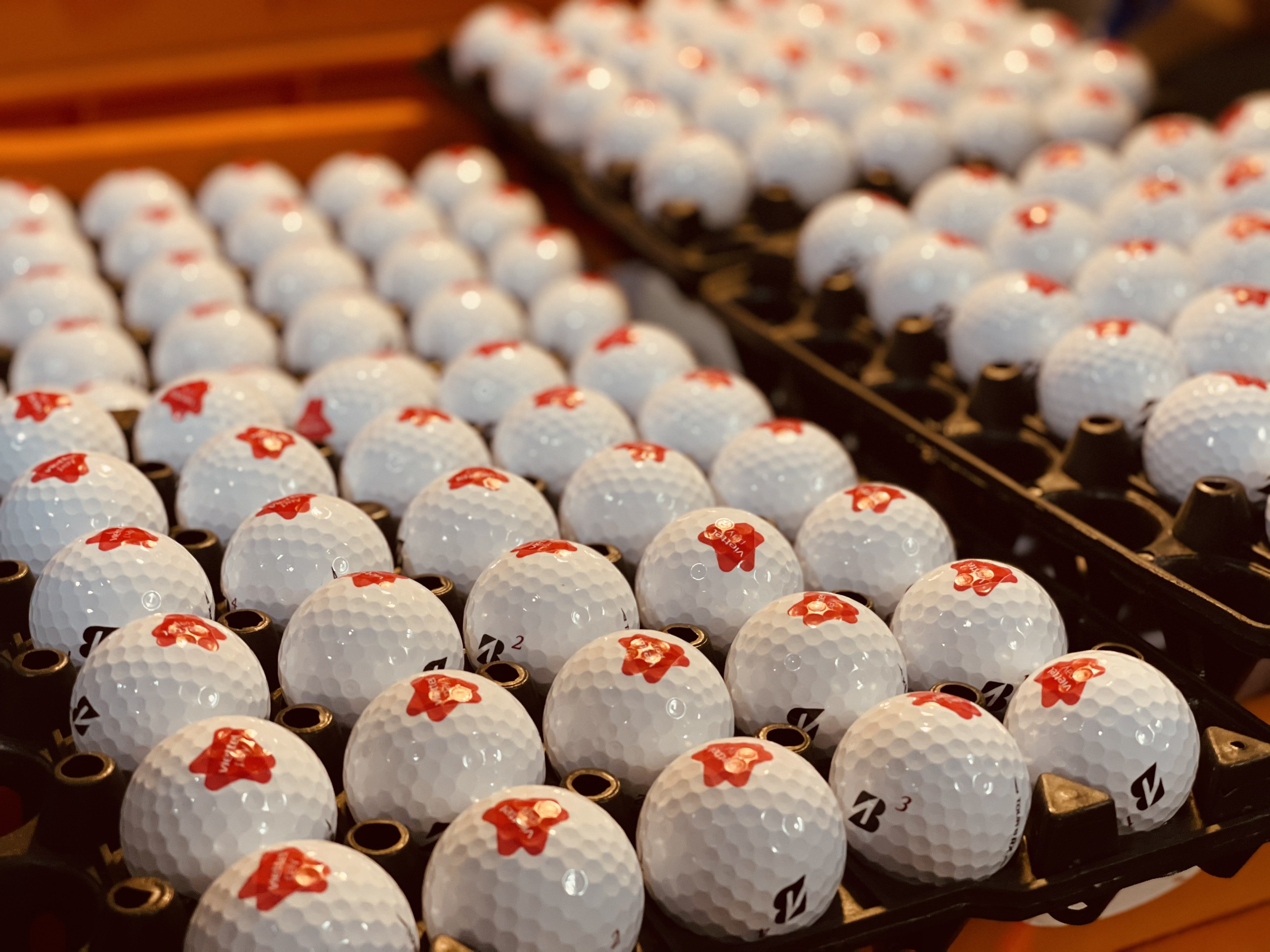 IN LOGO BÓNG GOLF - DỊCH VỤ IN BÓNG GOLF CHUYÊN NGHIỆP