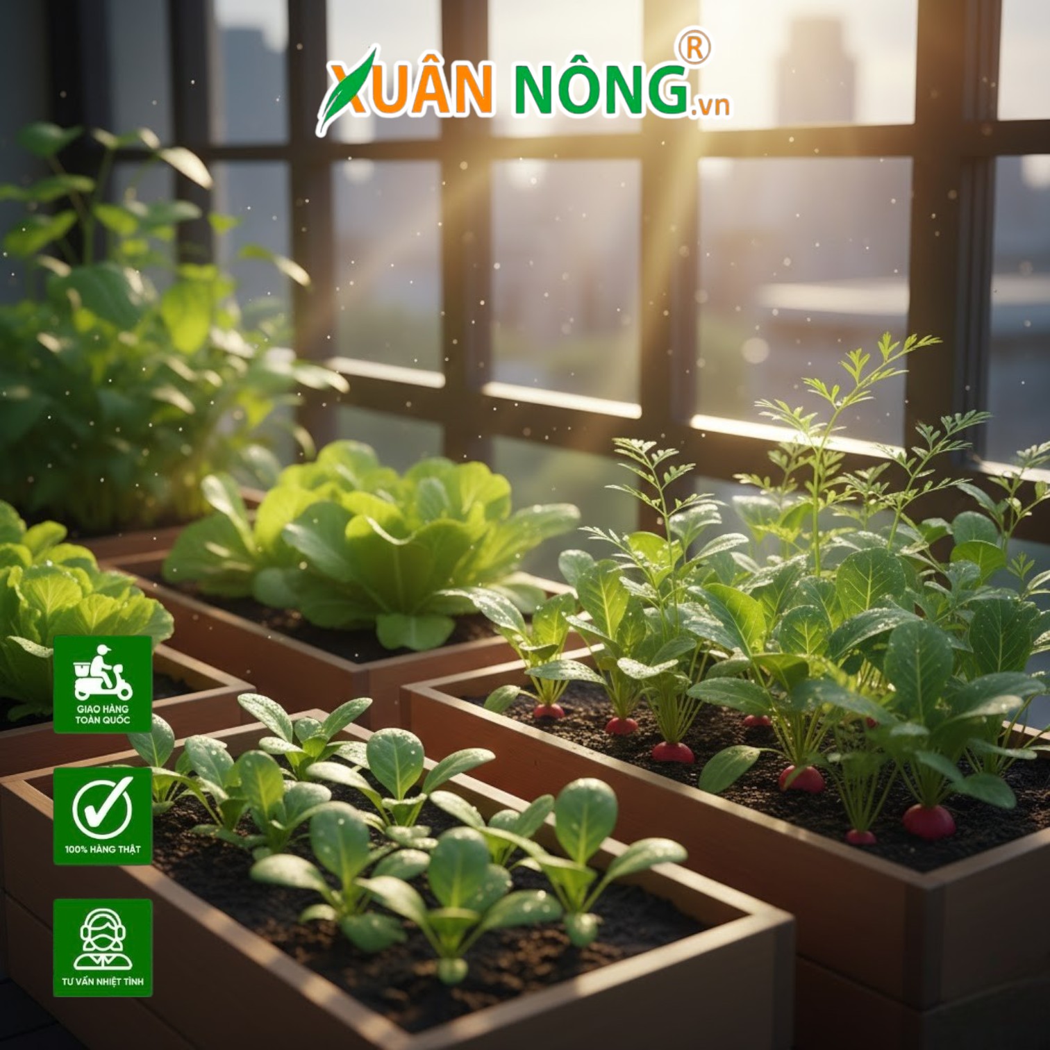 Biến Ban Công Nhỏ Thành Vườn Xanh Với Hạt Giống Rau Mùa Vụ