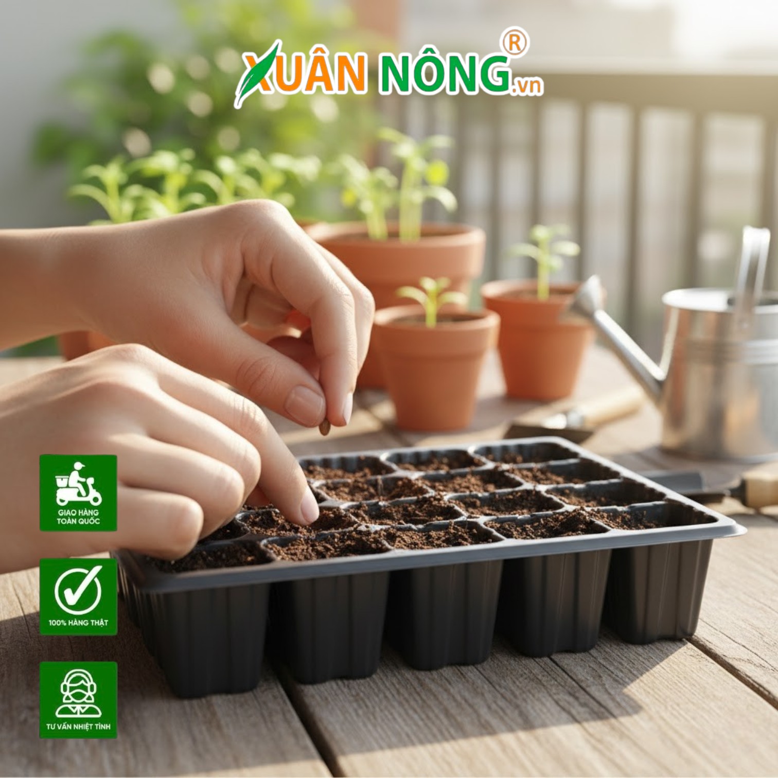 Hạt Giống Rau Sạch Dễ Trồng Cho Bữa Ăn An Toàn Tại Nhà