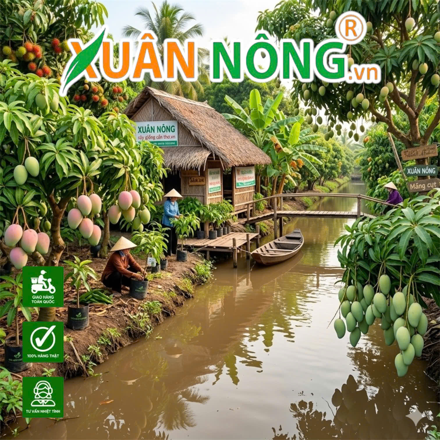 Kỹ Thuật Trồng Cây Ăn Trái Thích Ứng Biến Đổi Khí Hậu