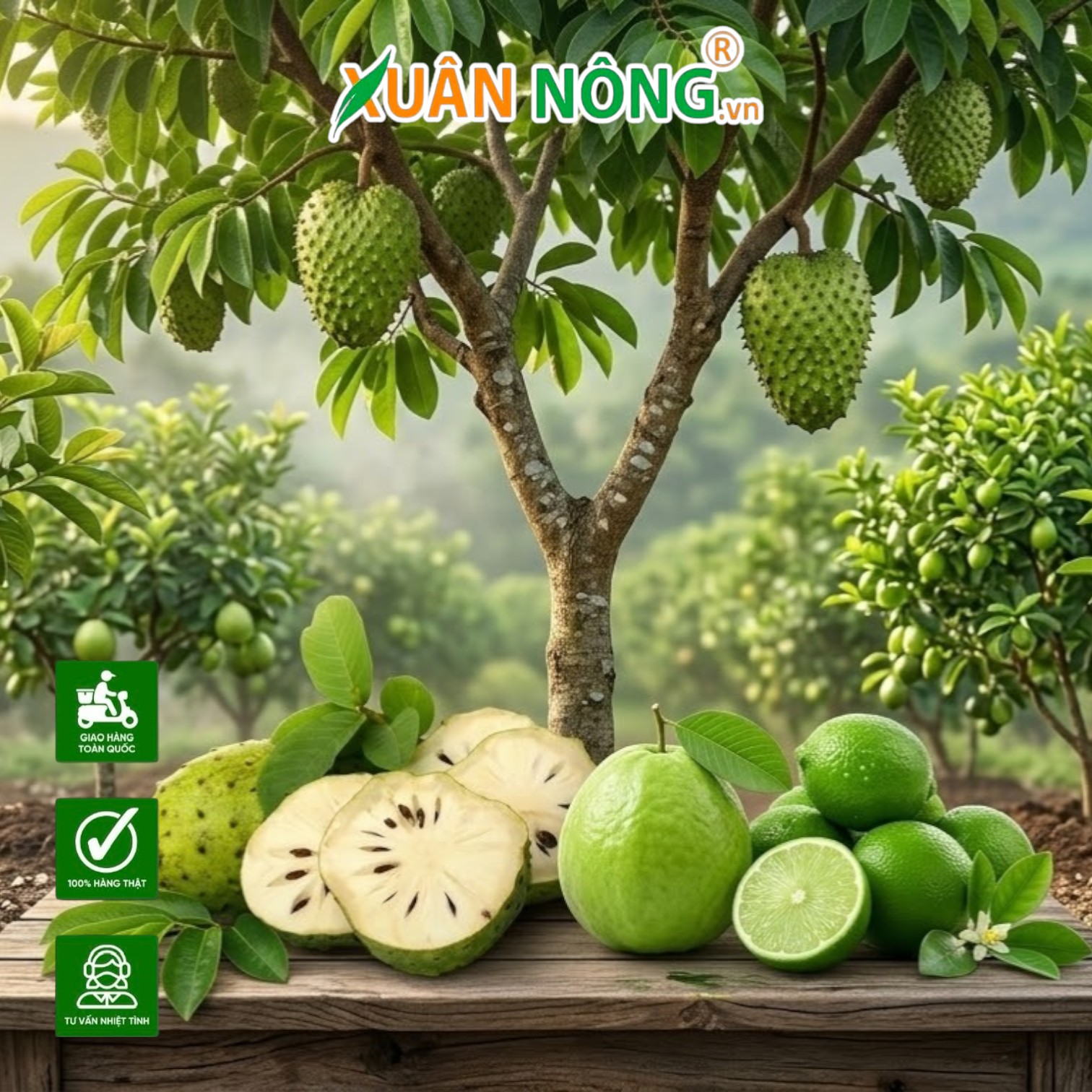 Top 5 Giống Cây Ăn Trái Chịu Mặn Tốt Nhất Cho Bà Con Miền Tây Mùa Khô