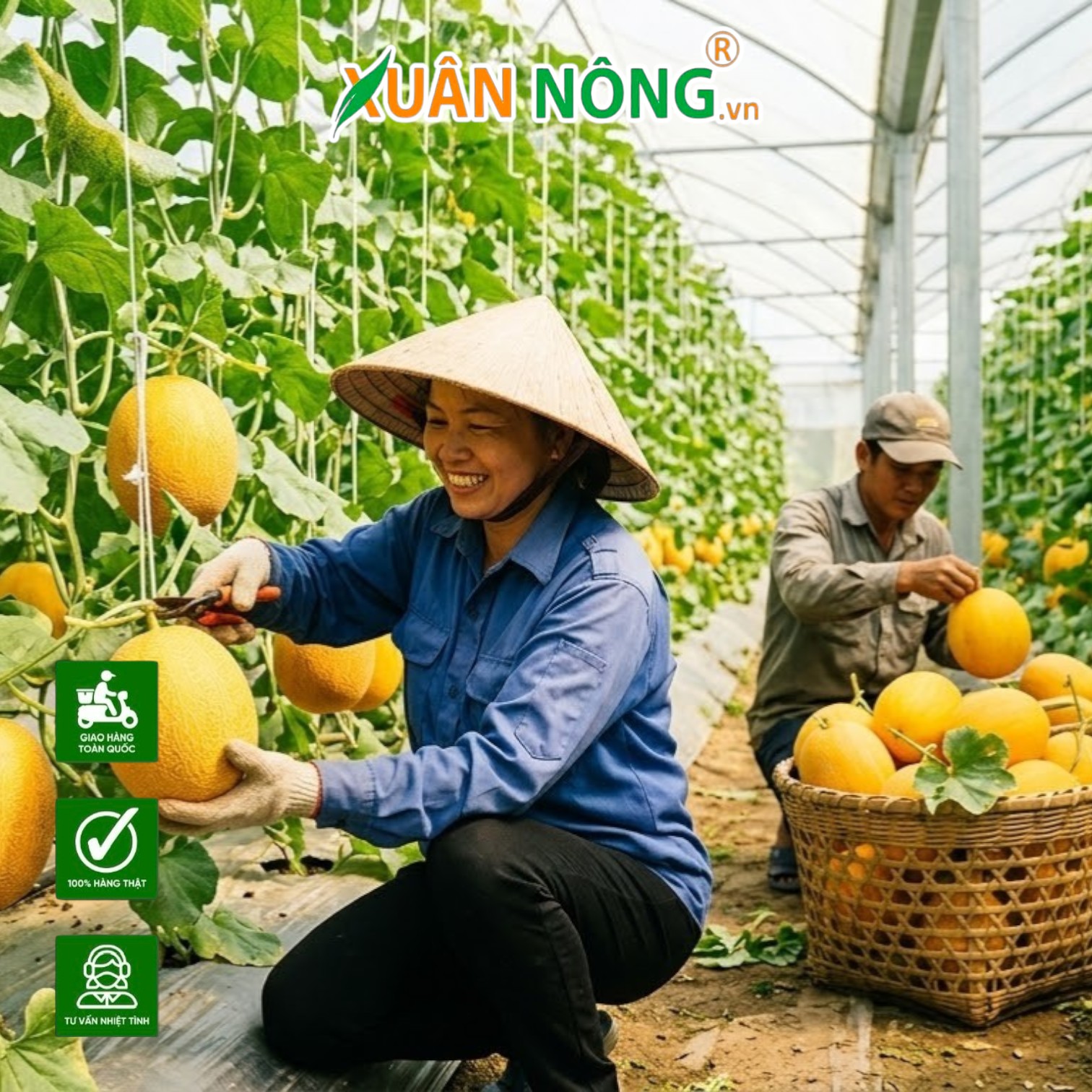 Xu Hướng Nông Sản Năm 2026: Trồng Cây Gì Để Thương Lái Săn Đón?