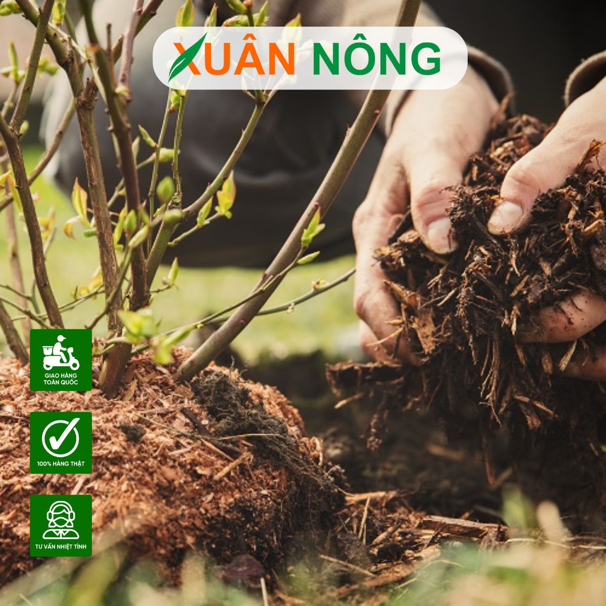 BÍ QUYẾT BÓN PHÂN HỮU CƠ GIÚP CÂY KHỎE, ĐẤT BỀN