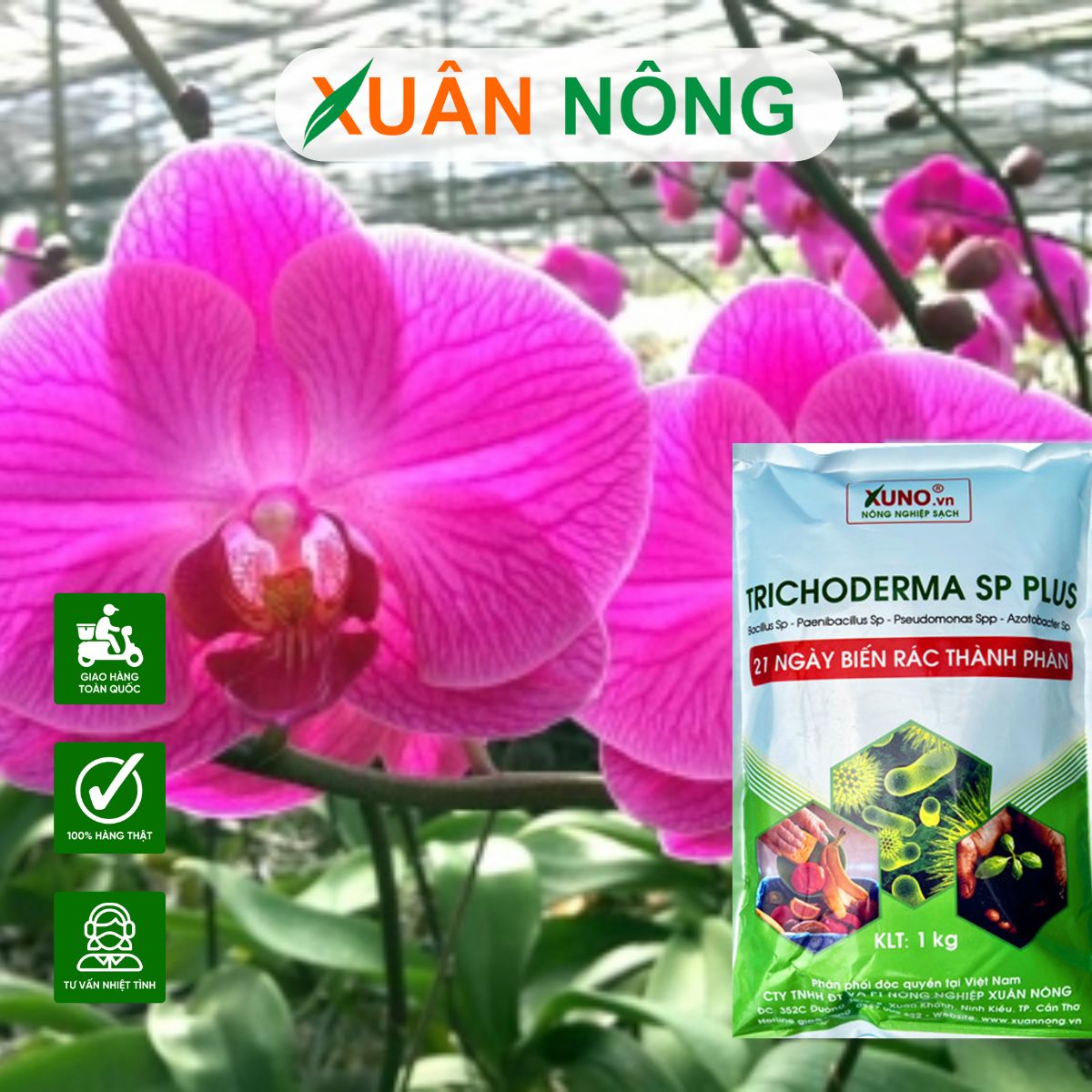 CÁCH DÙNG NẤM TRICHODERMA CHO HOA LAN GIÚP PHÒNG BỆNH, TIẾT KIỆM CHI PHÍ