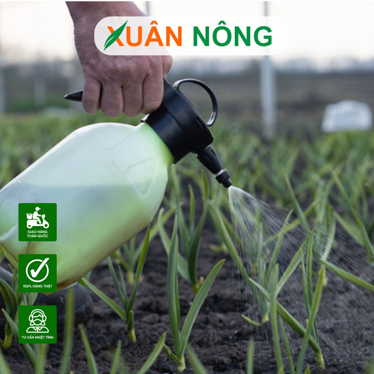 DÙNG HUMIC VÀO THỜI ĐIỂM NÀO ĐỂ CÂY HẤP THU VÀ PHÁT TRIỂN TỐT NHẤT?