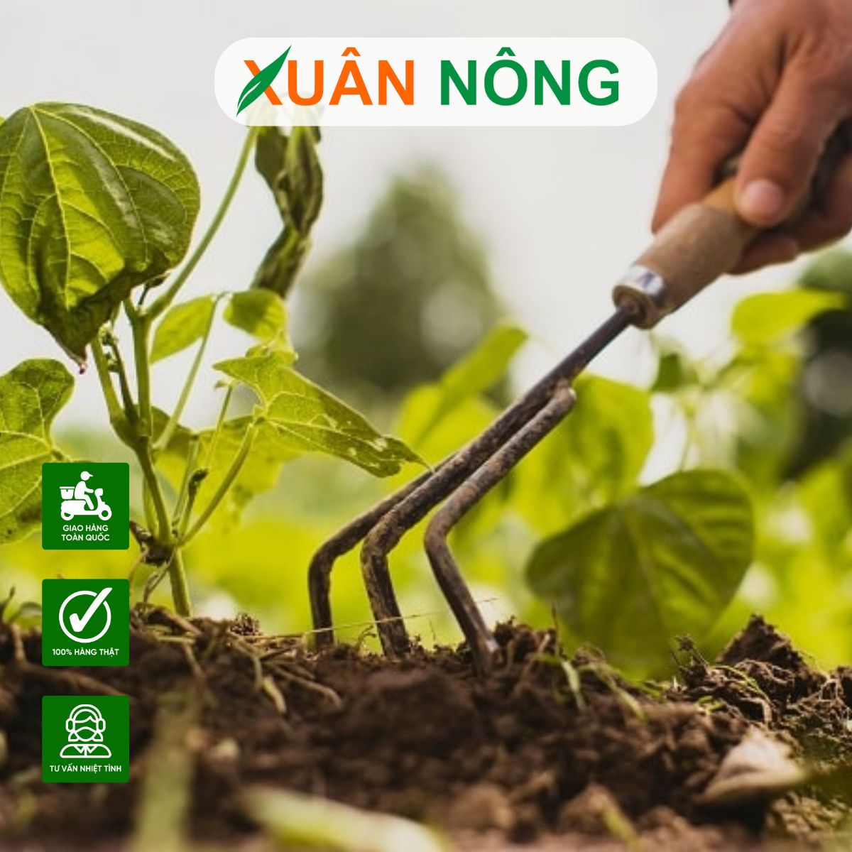 CÁCH CẢI TẠO ĐẤT CŨ THÀNH ĐẤT SẠCH HỮU CƠ HIỆU QUẢ