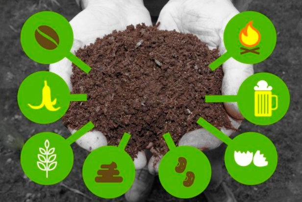 CÁCH SỬ DỤNG PHÂN HỮU CƠ