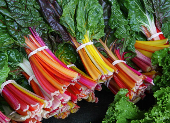 KỸ THUẬT TRỒNG CẢI CẦU VỒNG