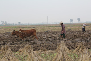 ÔNG TỔ NGÀNH NÔNG NGHIỆP