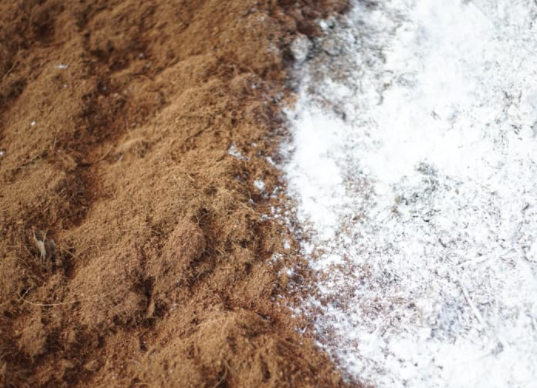 THỜI ĐIỂM XỬ LÝ VÔI, THUỐC BVTV, NẤM TRICHODERMA