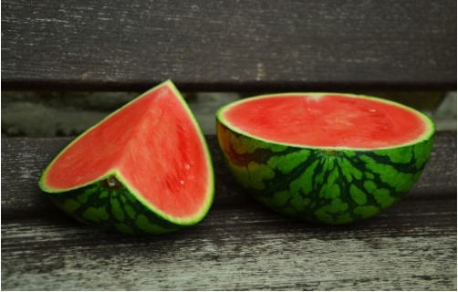 KỸ THUẬT TRỒNG DƯA HẤU KHÔNG HẠT