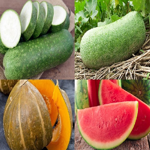 TIỂU THƯƠNG NGHỈ BÁN VÌ DỊCH, GIÁ BẦU, BÍ TĂNG GẤP 2, 3 LẦN NGÀY THƯỜNG