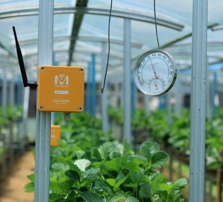 NÔNG NGHIỆP BỀN VỮNG: KỸ THUẬT SỐ GIÚP GIẢM CHI PHÍ