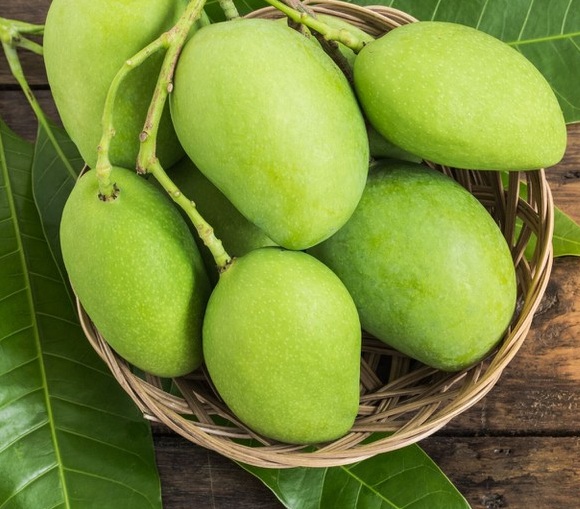 TĂNG CƯỜNG XUẤT KHẨU XOÀI CHẾ BIẾN VÀO MỸ