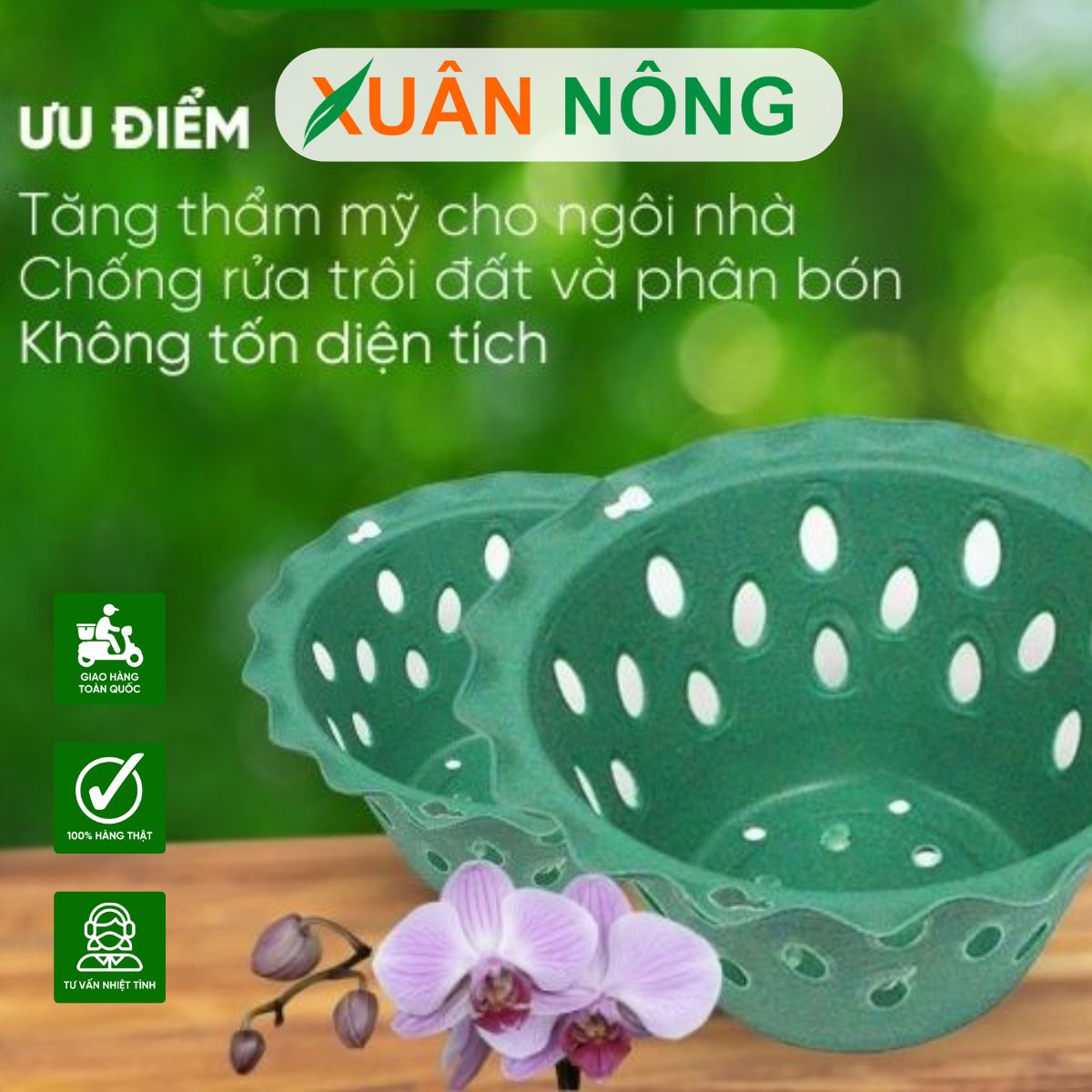 CÁCH CHỌN CHẬU TRỒNG LAN ĐÚNG CHUẨN GIÚP LA RA RỄ KHỎE