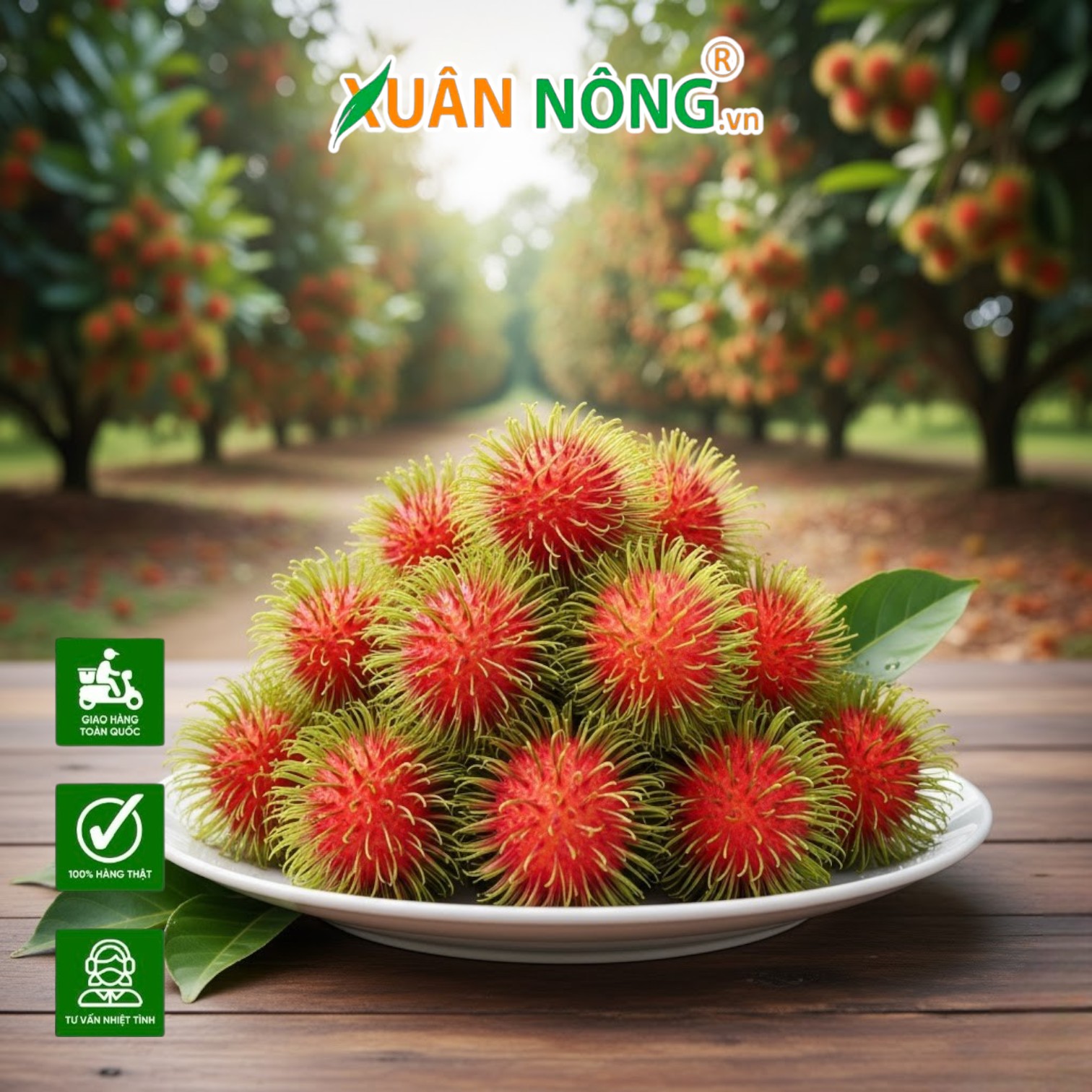 Lý Do Chôm Chôm Thái Trở Thành Giống Cây Trồng Chủ Lực Của Nhà Vườn Miền Tây