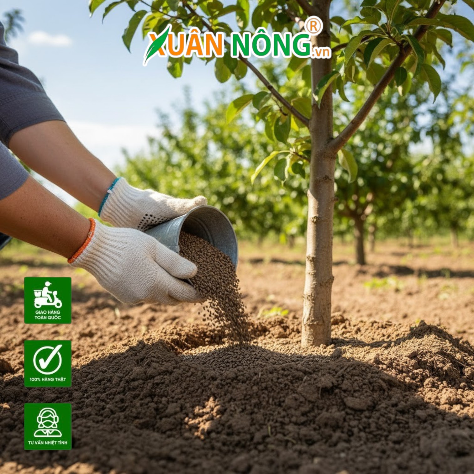 Hiểu Đúng Về Thực Đơn Dinh Dưỡng Cho Cây Để Tránh Lãng Phí Phân Bón Và Bảo Vệ Độ Màu Mỡ Của Đất Trồng