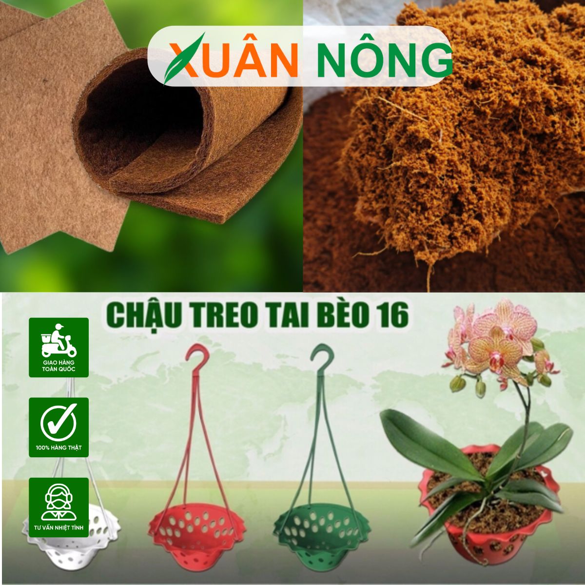 HƯỚNG DẪN CHI TIẾT CÁCH CHỌN VẬT TƯ TRỒNG LAN CHUẨN CHO TỪNG GIỐNG LAN