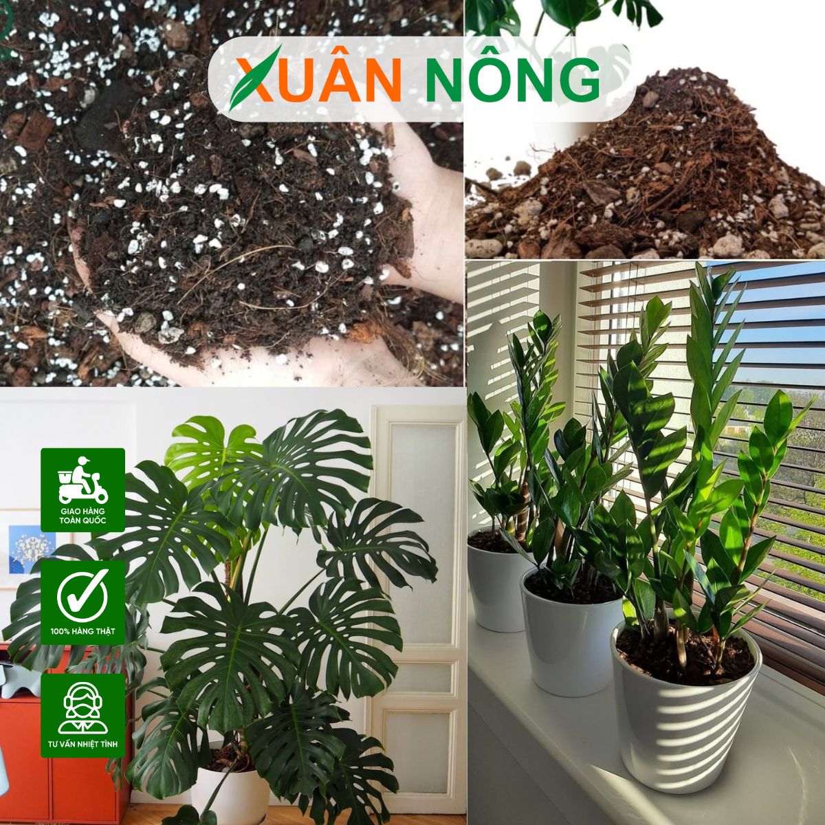 GIÁ THỂ TRỒNG CÂY TẠI NHÀ: PHÂN LOẠI, CÔNG DỤNG VÀ LƯU Ý KHI SỬ DỤNG