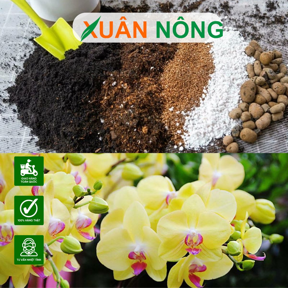 GIÁ THỂ TRỒNG LAN NHƯ THẾ NÀO ĐÚNG CHUẨN? CÁCH PHỐI TRỘN GIÁ THỂ