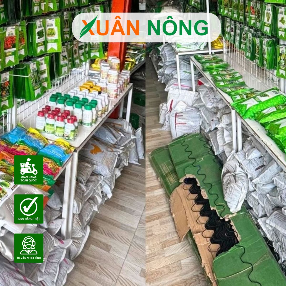 NƠI BÁN HẠT GIỐNG CHẤT LƯỢNG CAO, TỈ LỆ NẢY NẢY MẦM TỐT