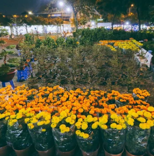 NỖI NIỀM NGƯỜI BÁN HOA TẾT