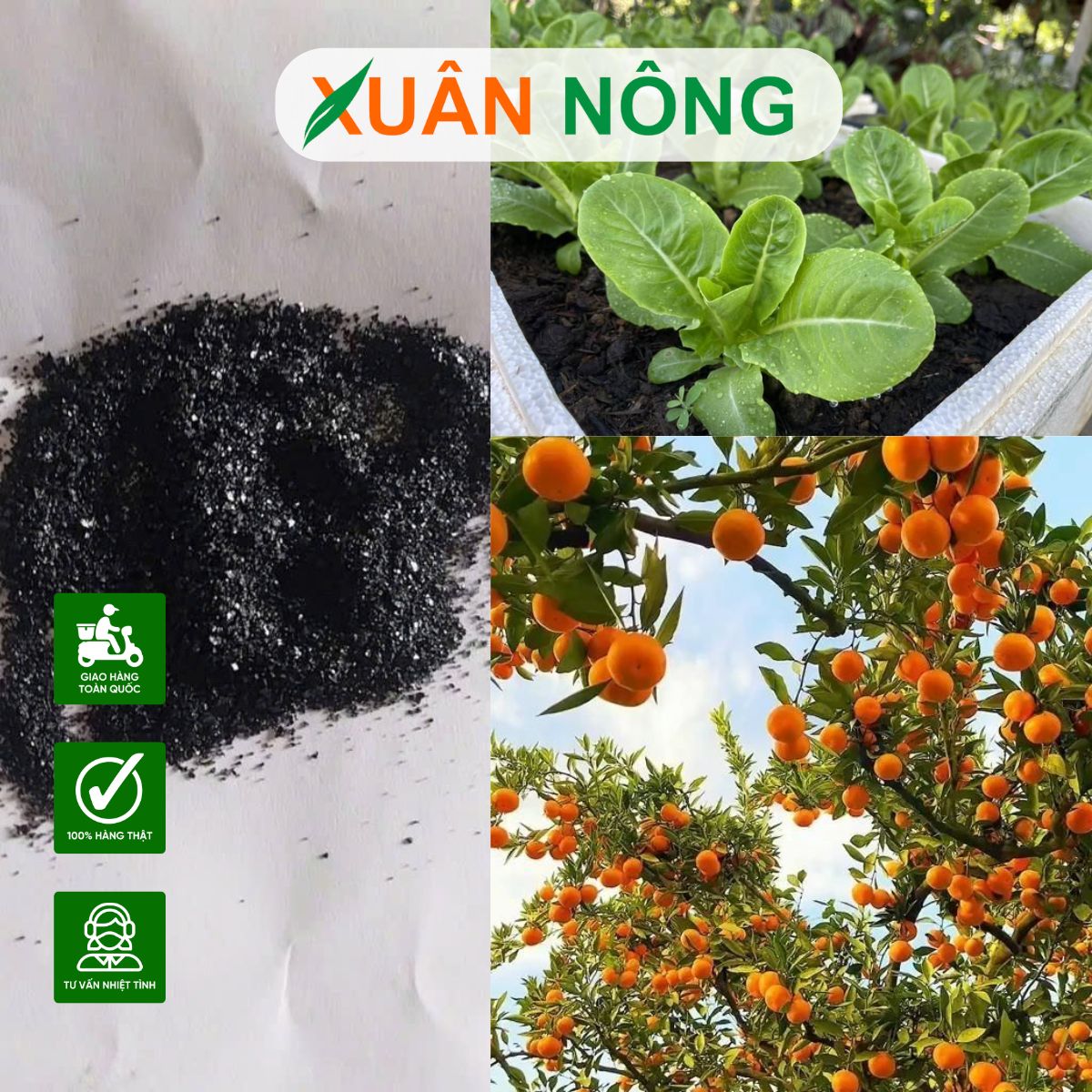 TÁC DỤNG NỔI BẬT CỦA HUMIC MỸ TRONG CẢI TẠO ĐẤT VÀ KÍCH RỄ