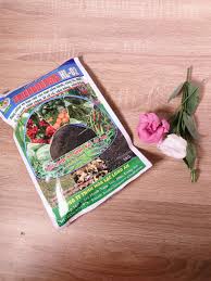 PHÒNG TRỪ NẤM BỆNH CHO CÂY TRỒNG VÀO MÙA MƯA BẰNG NẤM ĐỐI KHÁNG TRICHODERMA