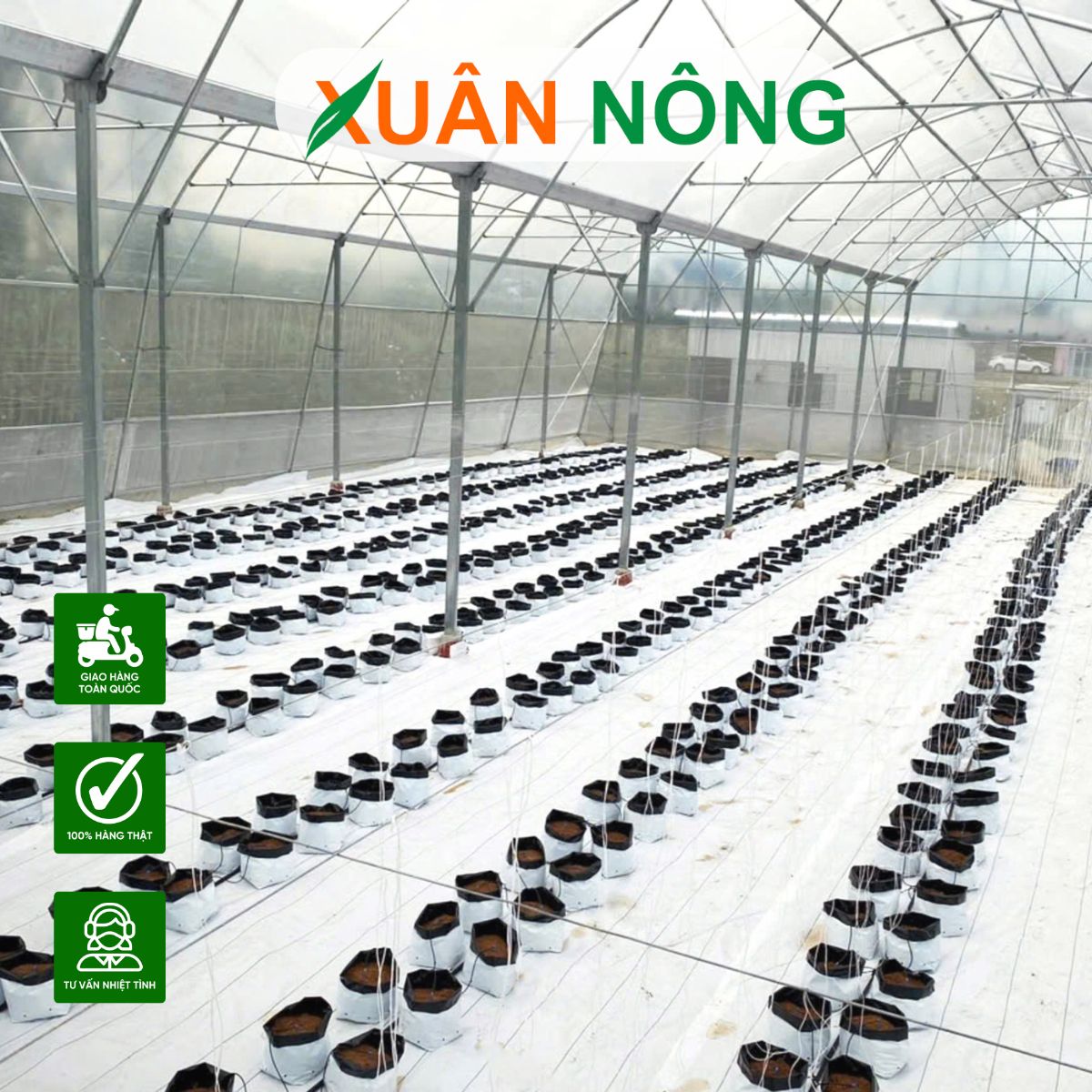 BÁO GIÁ NHÀ MÀNG NÔNG NGHIỆP 2025 – THI CÔNG TRỌN GÓI TẠI XUÂN NÔNG