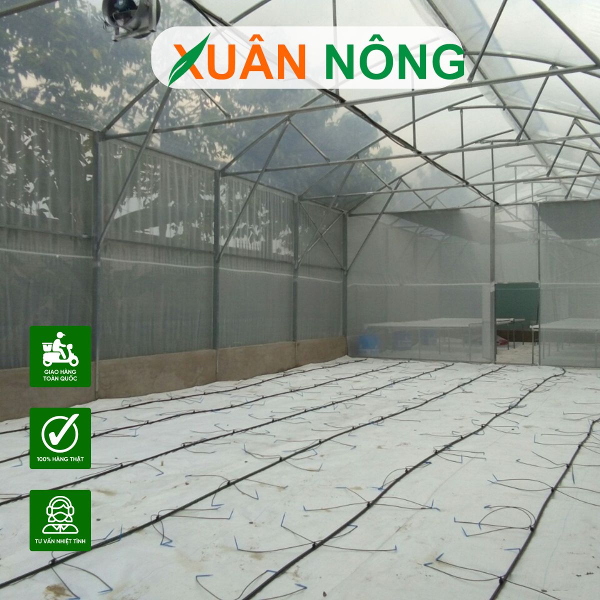 CHI PHÍ VÀ LỢI NHUẬN TRỒNG DƯA LƯỚI TRONG NHÀ MÀNG NHƯ THẾ NÀO?