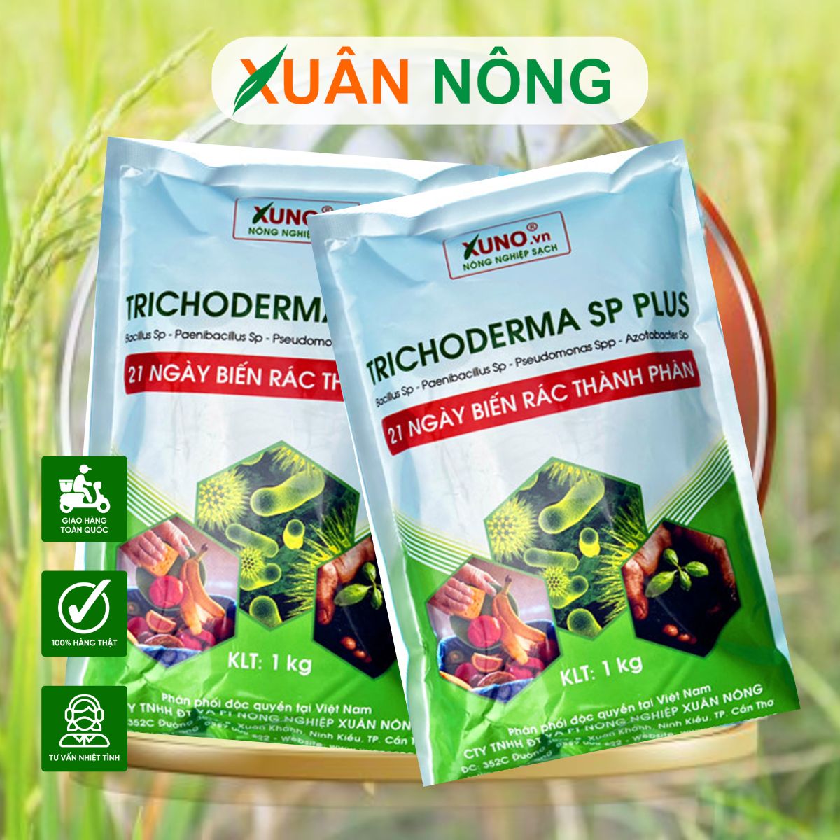 NẤM TRICHODERMA TRỊ VÀNG LÁ, THỐI RỄ CHO CÂY ĐƯỢC KHÔNG?