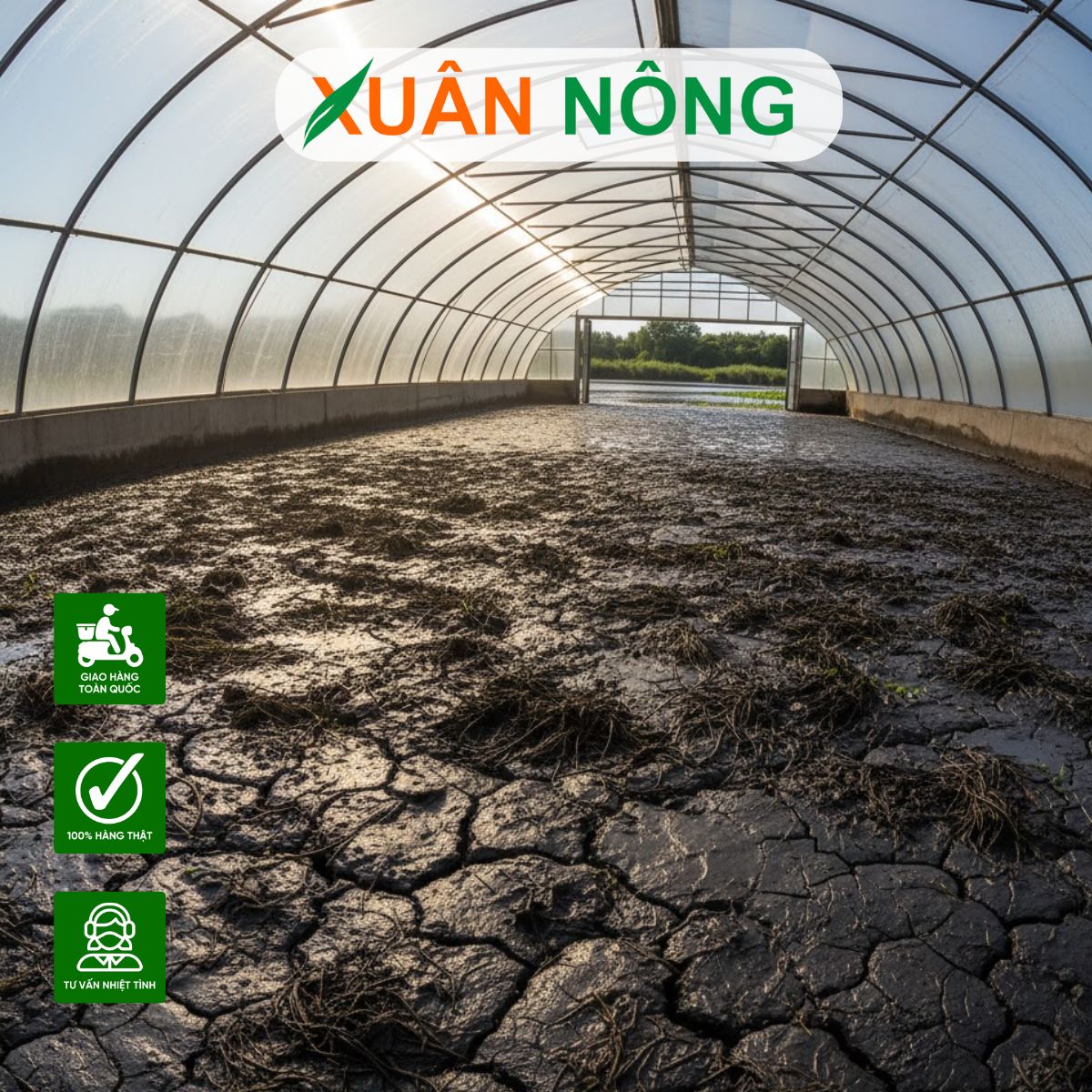 NHÀ KÍNH PHƠI BÙN AO TẠI VĨNH LONG - TOP 15 LƯU Ý KHI THI CÔNG NHÀ KÍNH