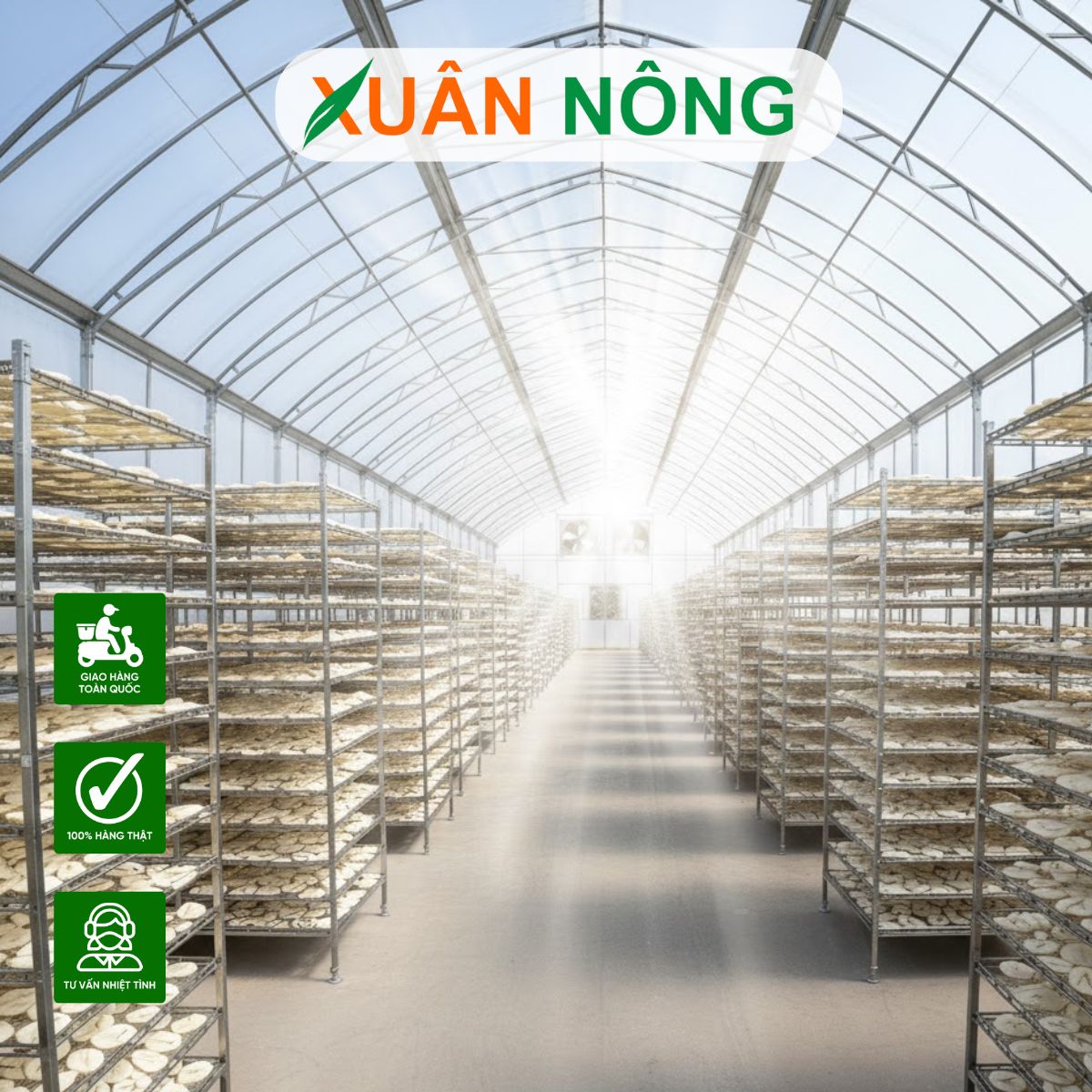 NHÀ KÍNH PHƠI KHOAI MÌ - TOP 15 LƯU Ý KHI THI CÔNG NHÀ KÍNH PHƠI KHOAI MÌ