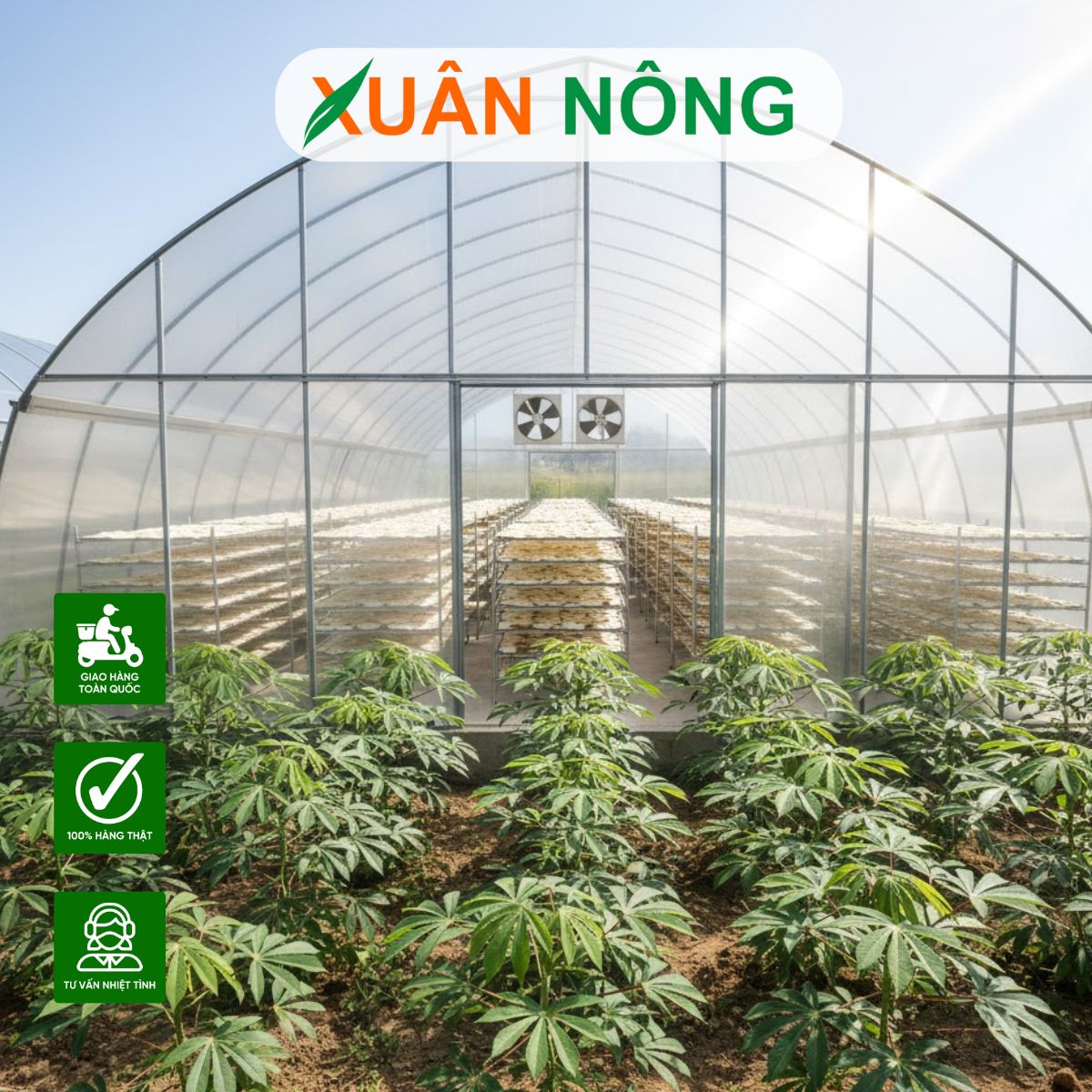 NHÀ KÍNH PHƠI KHOAI MÌ TẠI TÂY NINH - TOP 15 LƯU Ý KHI THI CÔNG NHÀ KÍNH