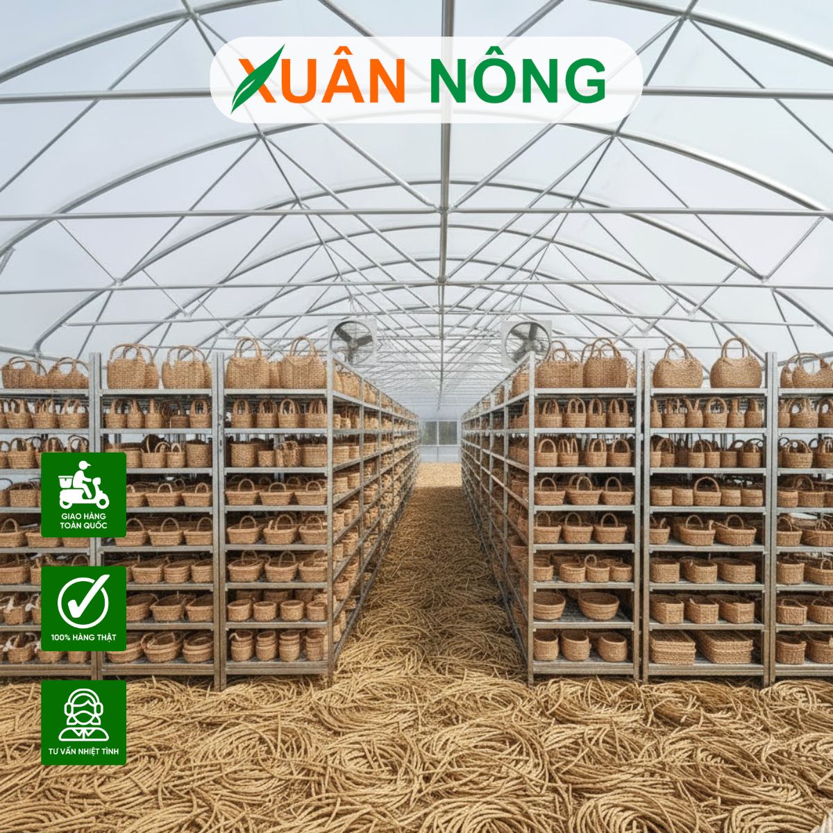 NHÀ KÍNH PHƠI LỤC BÌNH - TOP 15 LƯU Ý KHI THI CÔNG NHÀ KÍNH PHƠI LỤC BÌNH