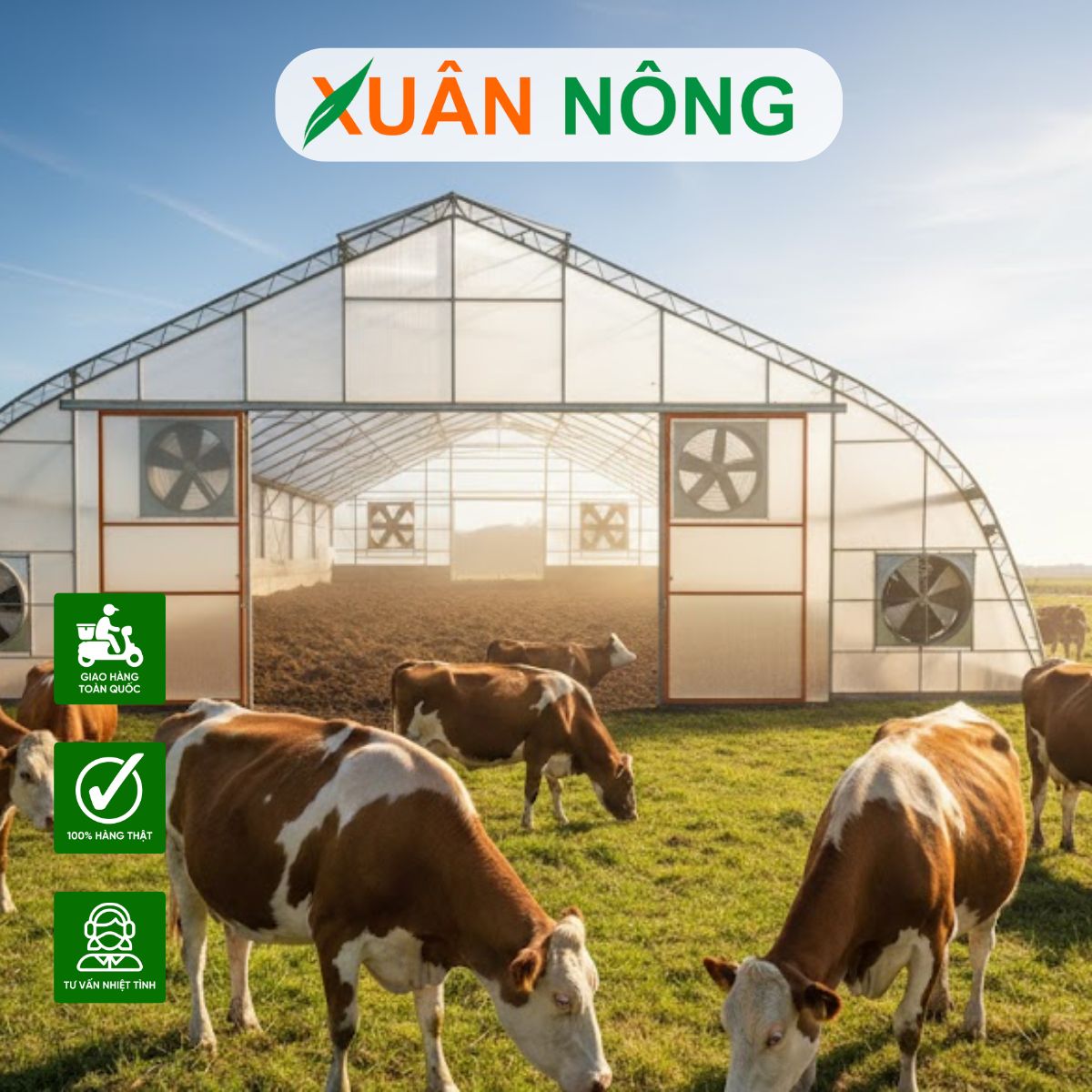 NHÀ KÍNH PHƠI PHÂN BÒ - TOP 15 LƯU Ý KHI THI CÔNG NHÀ KÍNH PHƠI PHÂN BÒ