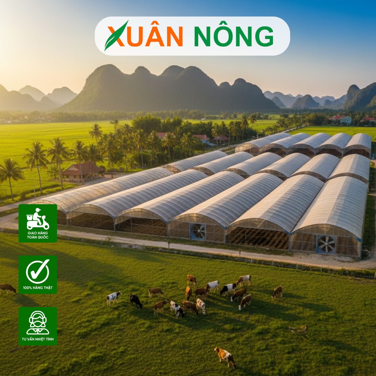 NHÀ KÍNH PHƠI PHÂN BÒ TẠI AN GIANG - TOP 15 LƯU Ý KHI THI CÔNG NHÀ KÍNH