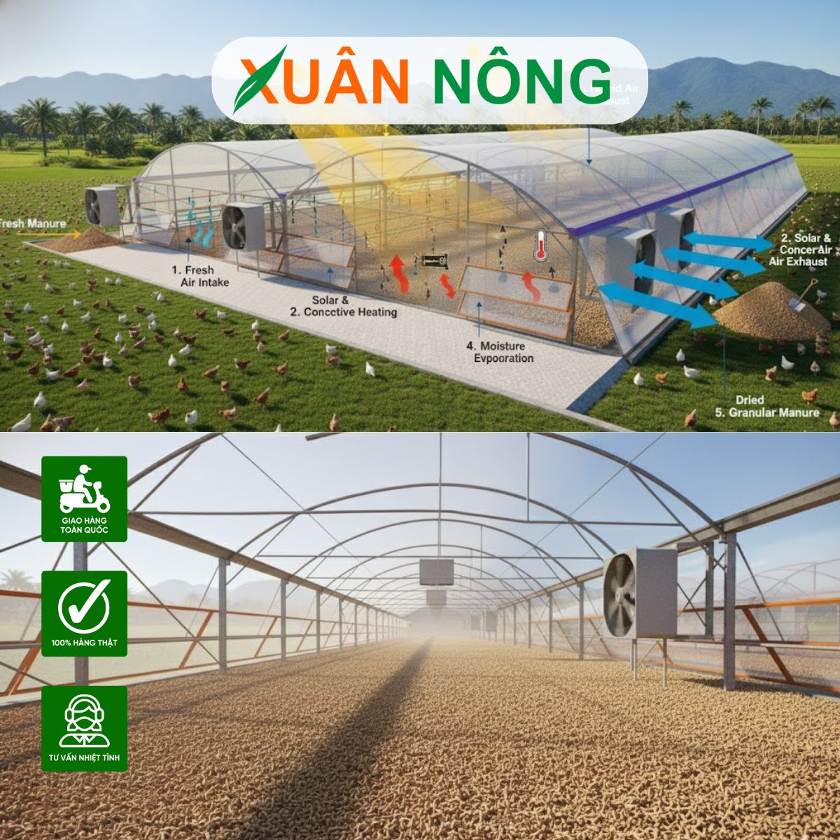 NHÀ KÍNH PHƠI PHÂN GÀ - TOP 15 LƯU Ý KHI THI CÔNG NHÀ KÍNH PHƠI PHÂN GÀ