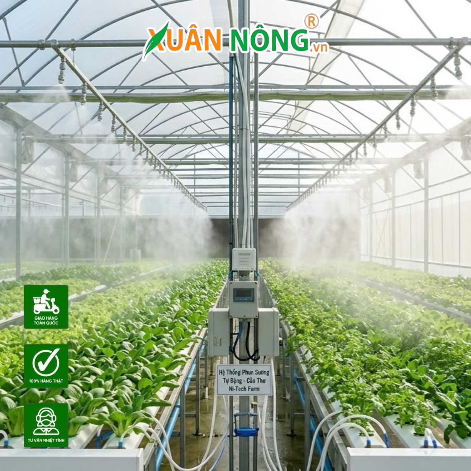 Tư Duy Làm Nông Kiểu Mới Dùng Công Nghệ Nhà Màng Để Điều Khiển Thời Tiết Theo Ý Muốn