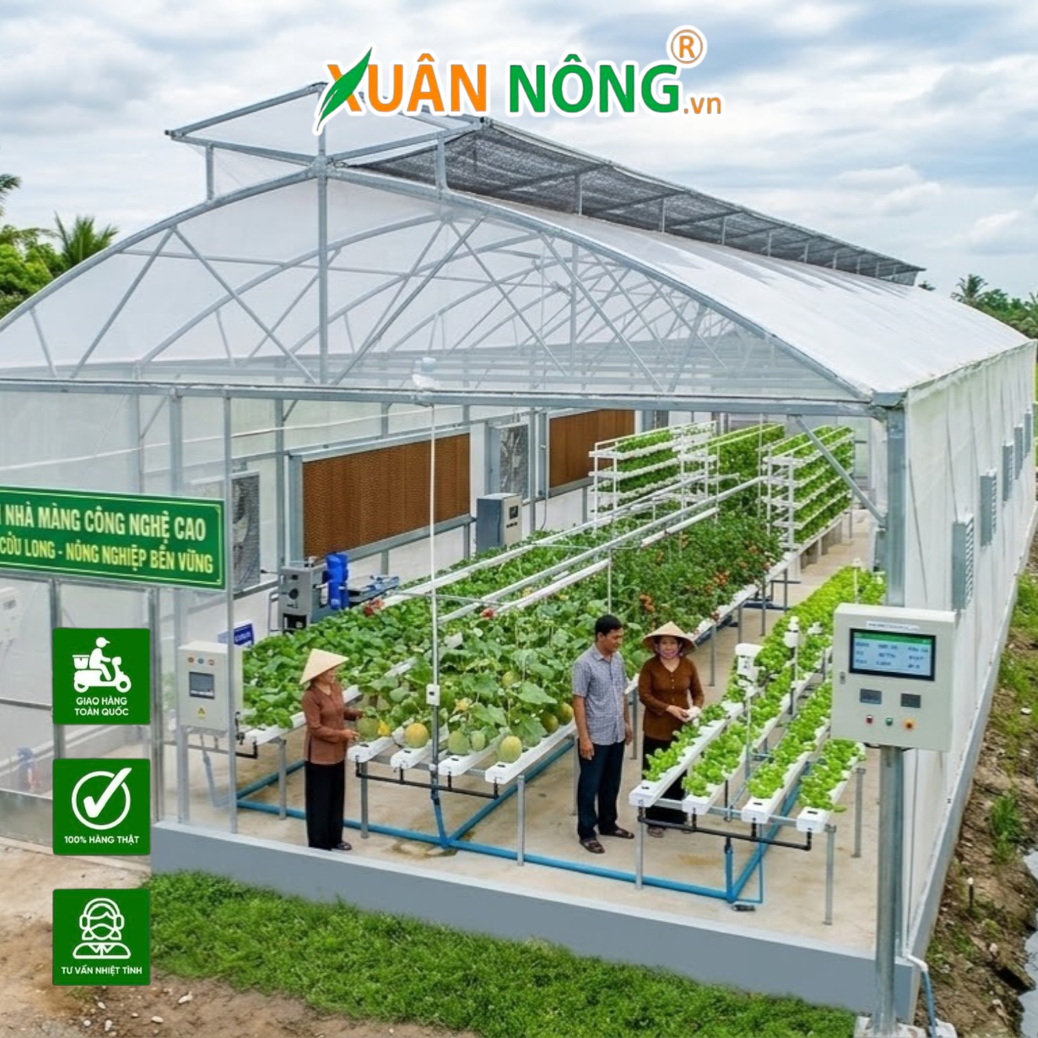 Nhà Màng Công Nghệ Cao: Có Đắt Đỏ Như Bạn Nghĩ? Giải Pháp Bảo Vệ Vườn Cây Mùa Mưa