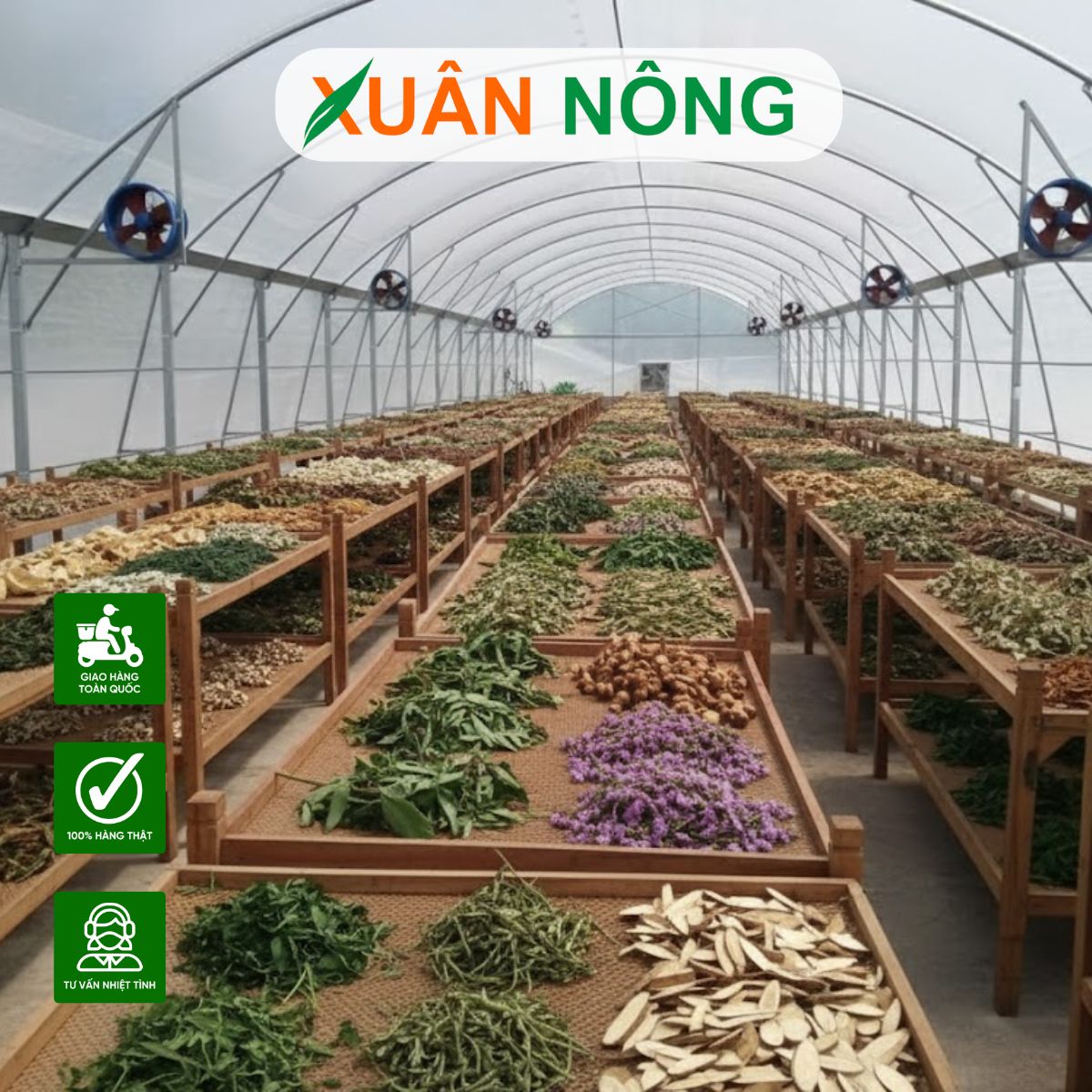 NHÀ MÀNG PHƠI THUỐC NAM - TOP 15 LƯU Ý KHI THI CÔNG NHÀ MÀNG PHƠI THUỐC NAM