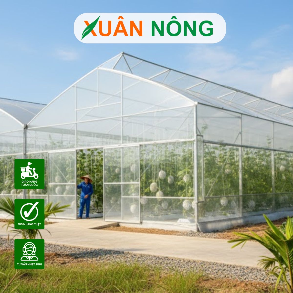 NHÀ MÀNG TRỒNG DƯA LƯỚI - HƯỚNG DẪN ĐẦU TƯ MÔ HÌNH TỪ A - Z