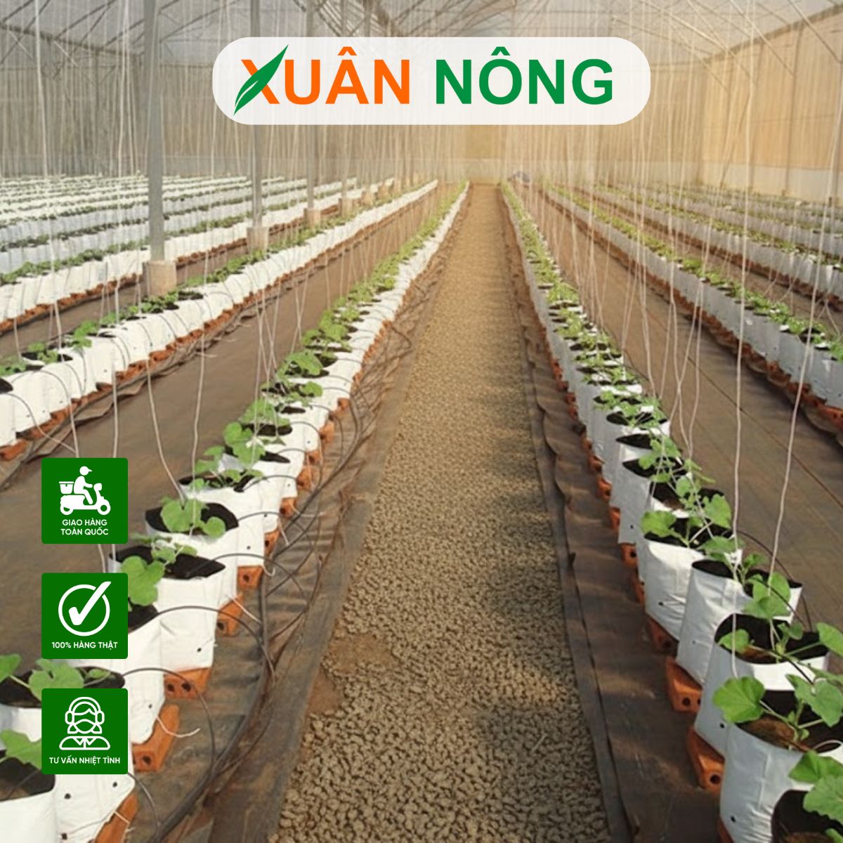 NHÀ MÀNG TRỒNG DƯA LƯỚI - TƯ VẤN MIỄN PHÍ THIẾT KẾ VÀ THI CÔNG