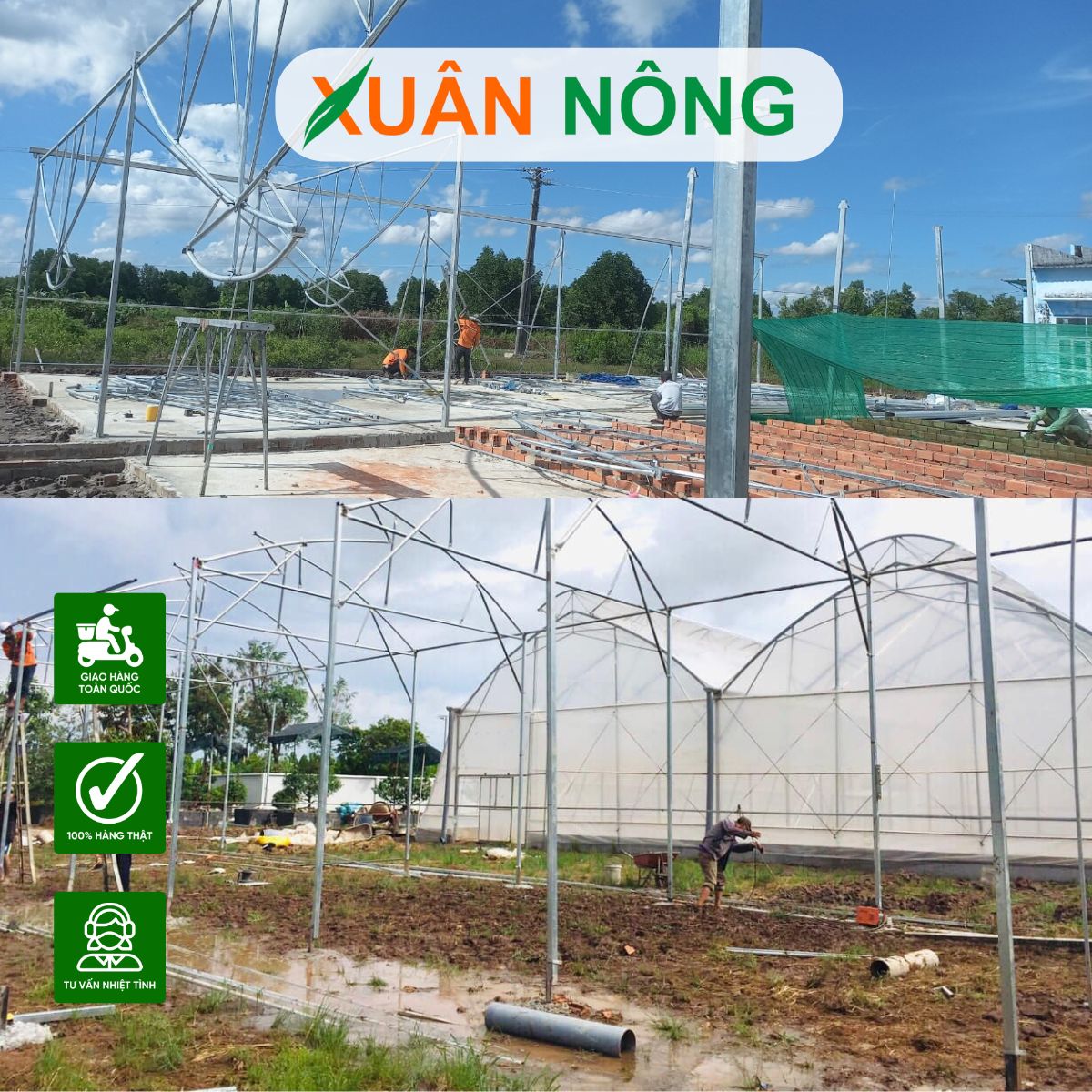 KỸ THUẬT TRỒNG RAU TRONG NHÀ MÀNG ĐẠT NĂNG SUẤT CAO